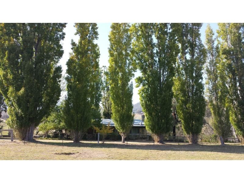 1021 Bindi Road, Swifts Creek VIC 3896