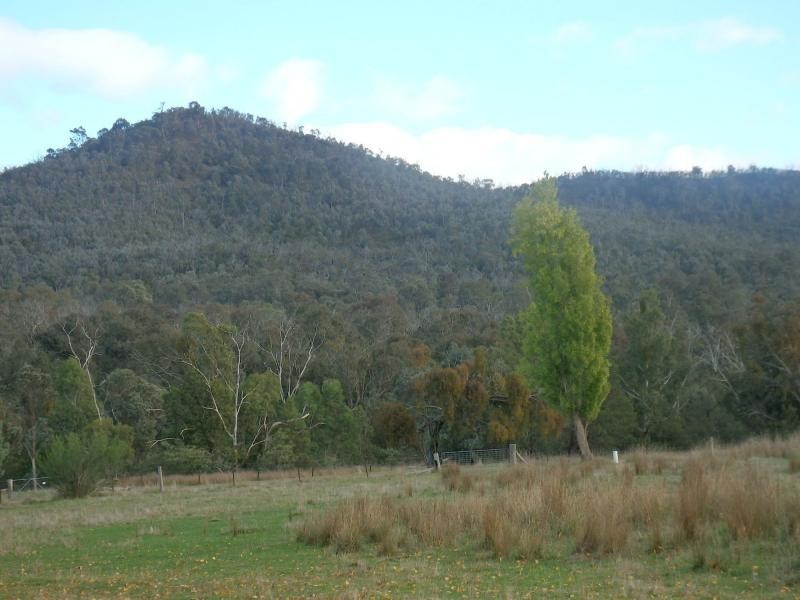 1021 Bindi Road, Swifts Creek VIC 3896