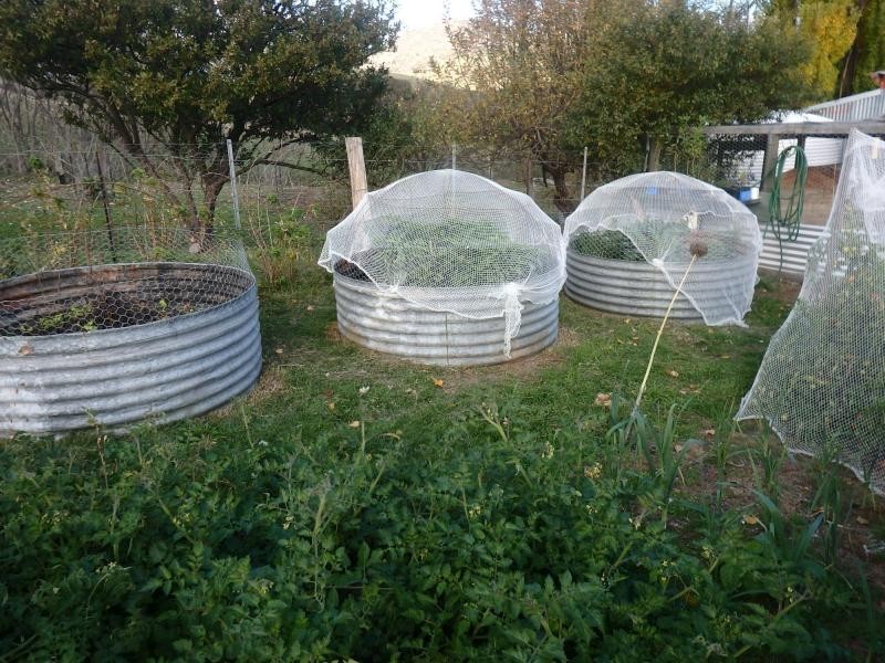 1021 Bindi Road, Swifts Creek VIC 3896