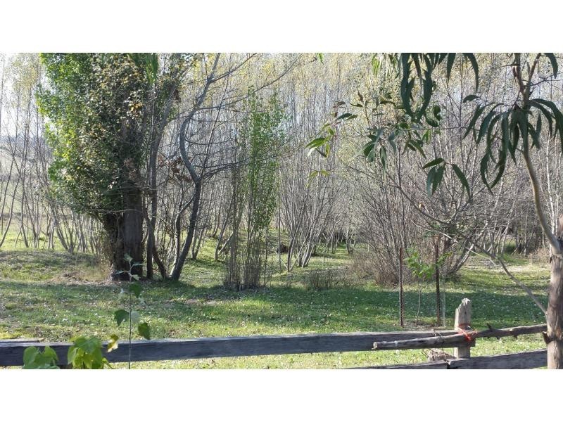 1021 Bindi Road, Swifts Creek VIC 3896