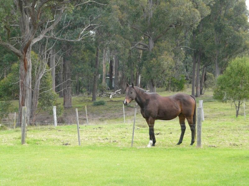 16 Sunnybanks Court, Bumberrah VIC 3902