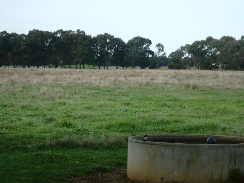 40 Jones Road, Paynesville VIC 3880