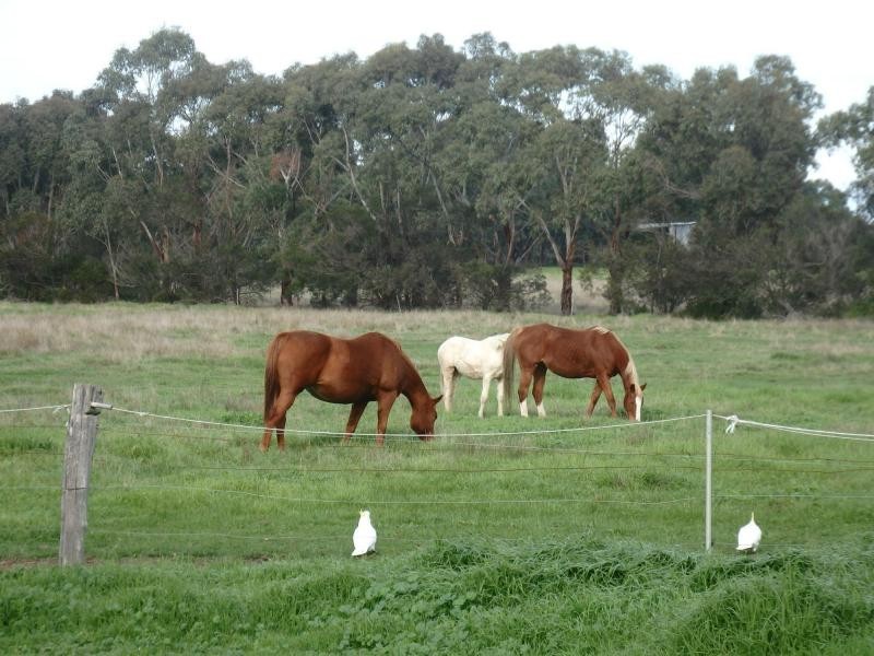 40 Jones Road, Paynesville VIC 3880
