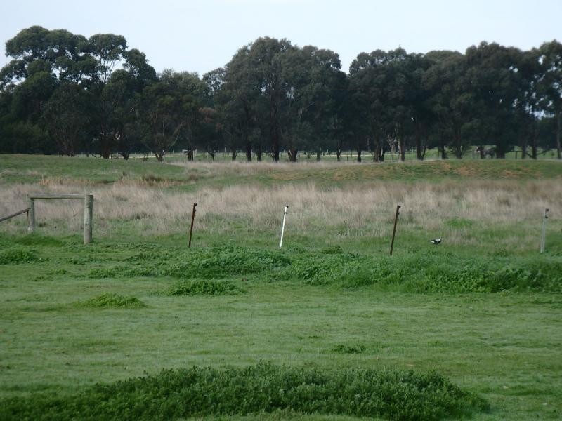 40 Jones Road, Paynesville VIC 3880