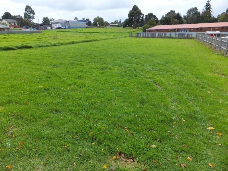 65 Wolseley Street, Orbost VIC 3888