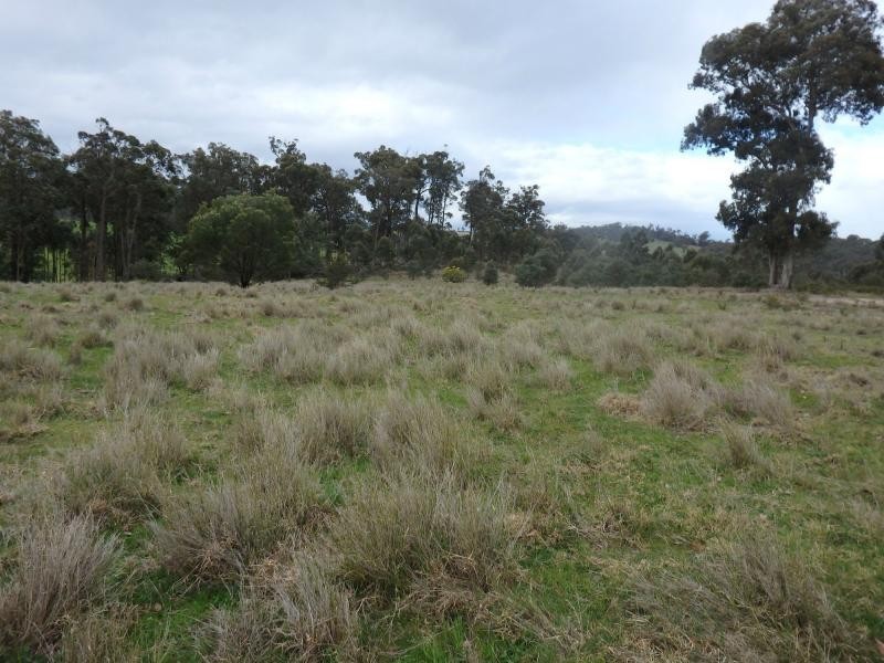 Lot 1 690 Orrs Road, Bairnsdale VIC 3875