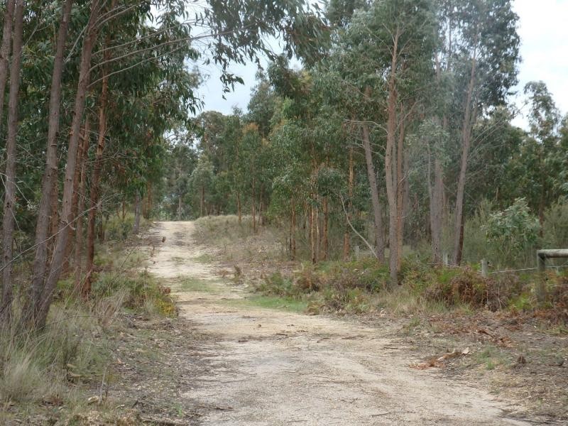 Lot 1 690 Orrs Road, Bairnsdale VIC 3875