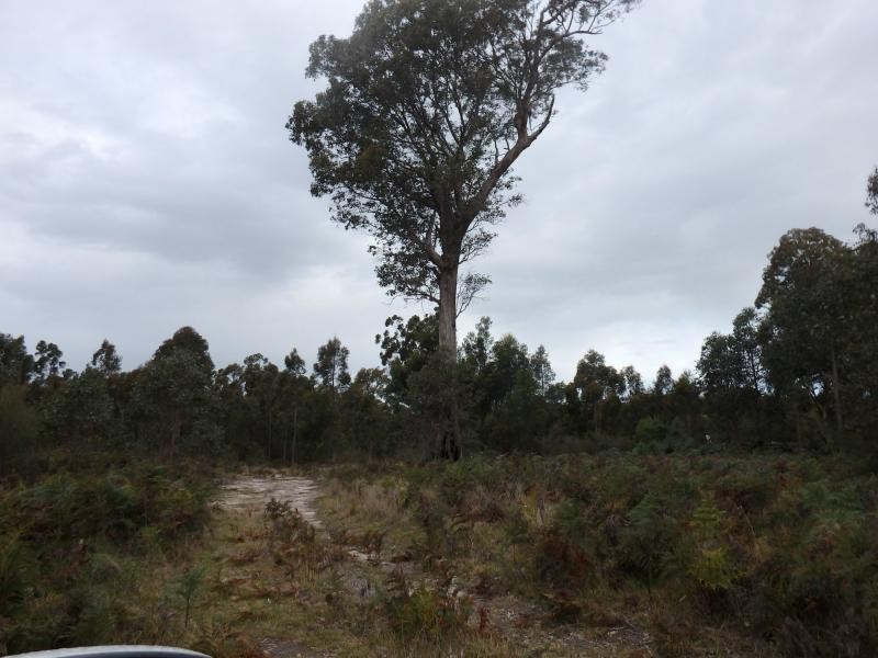 Lot 1 690 Orrs Road, Bairnsdale VIC 3875