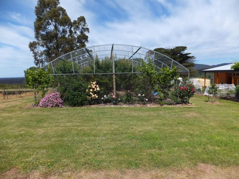 3543 Bairnsdale Dargo Road, Glenaladale VIC 3864