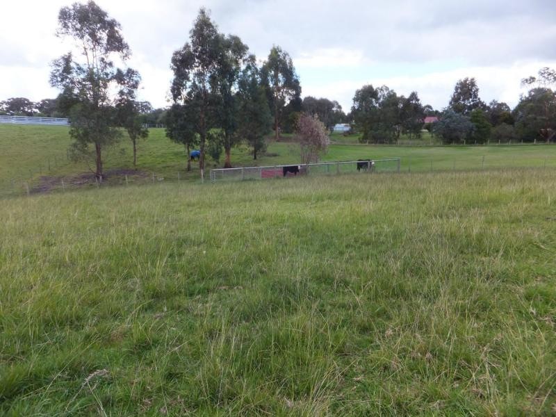 34 Amberly Drive, Nicholson VIC 3882