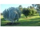 880 Swan Reach Road, Mossiface VIC 3885