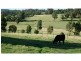 880 Swan Reach Road, Mossiface VIC 3885