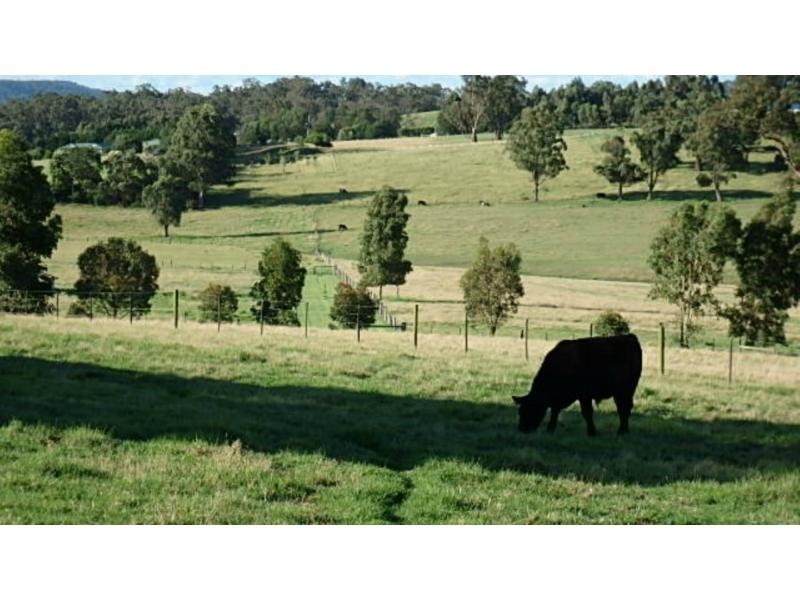 880 Swan Reach Road, Mossiface VIC 3885