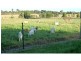 880 Swan Reach Road, Mossiface VIC 3885