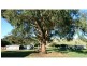 880 Swan Reach Road, Mossiface VIC 3885