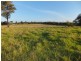 9 Hallier Court, Nicholson VIC 3882