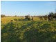 9 Hallier Court, Nicholson VIC 3882