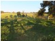 9 Hallier Court, Nicholson VIC 3882