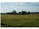 900 Fernbank Lindenow South Road, Fernbank VIC 3864