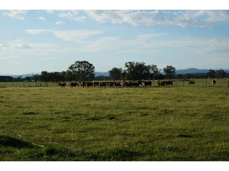 900 Fernbank Lindenow South Road, Fernbank VIC 3864