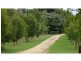 110 Normans Road, Metung VIC 3904