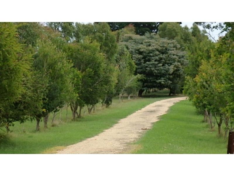 110 Normans Road, Metung VIC 3904