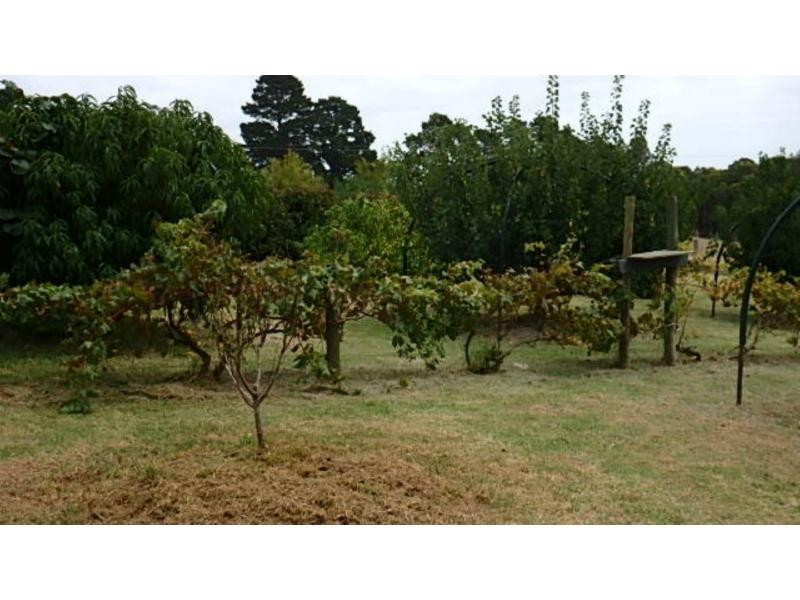 110 Normans Road, Metung VIC 3904