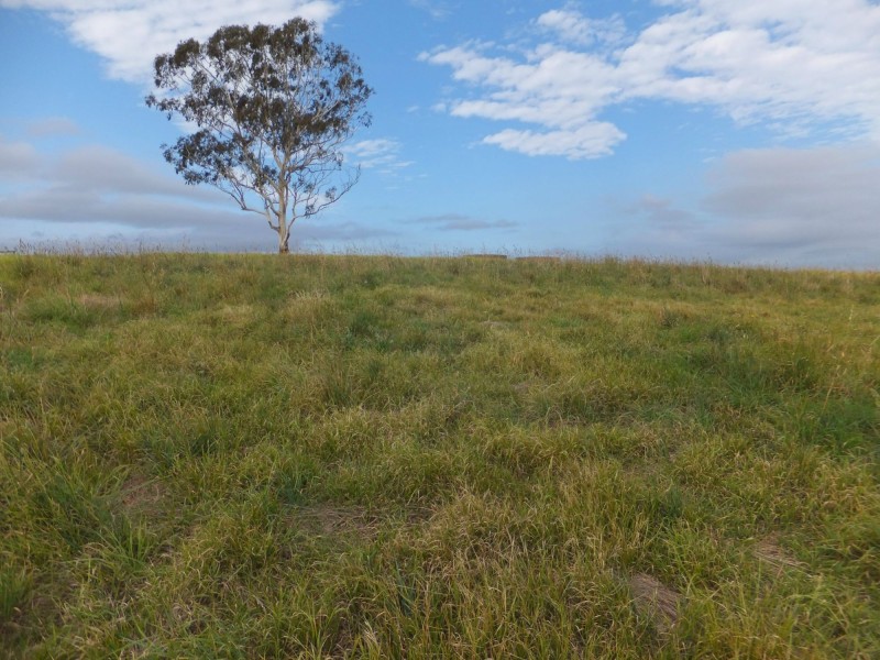 65 Killarney Drive, Swan Reach VIC 3903