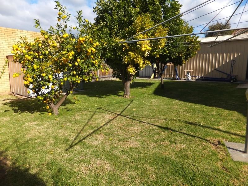 16 Glenda Court, Bairnsdale VIC 3875