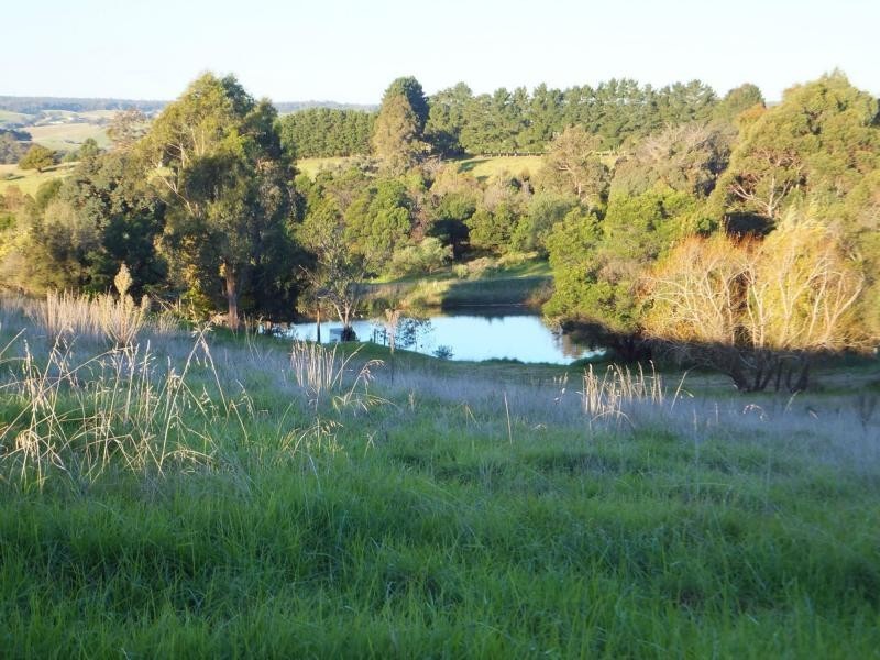 Tambo Upper VIC 3885
