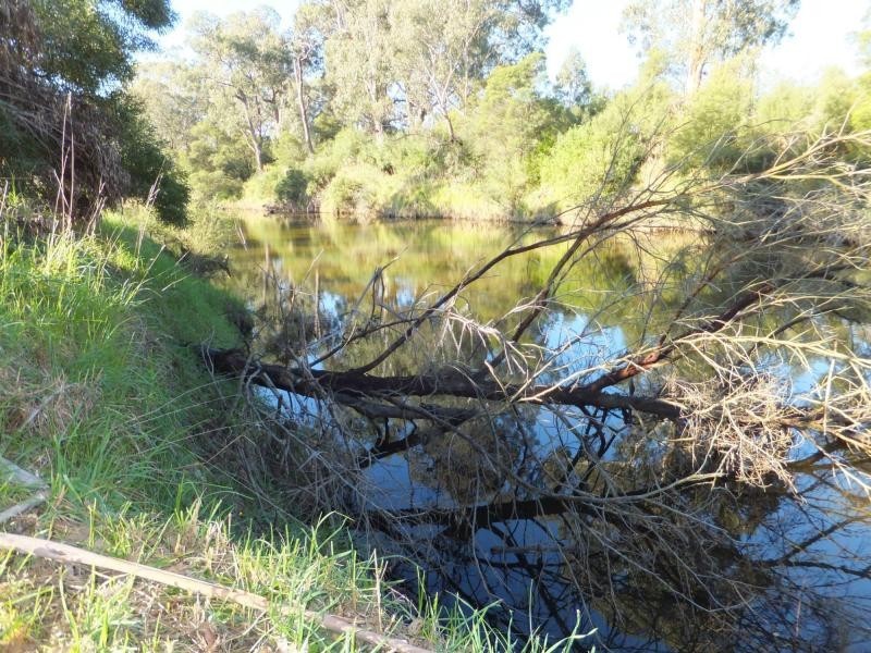 1035 Great Alpine Road, Sarsfield VIC 3875