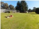 1035 Great Alpine Road, Sarsfield VIC 3875