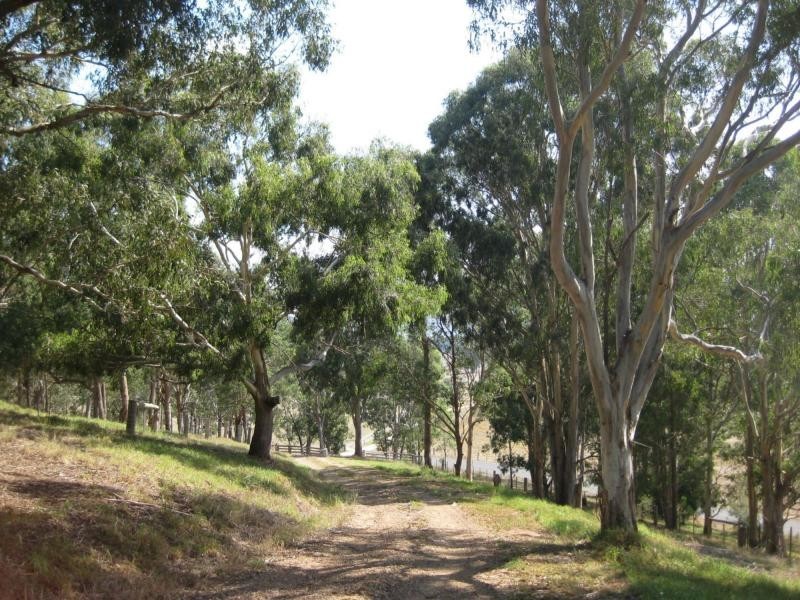 130 Boyds Road, Mount Taylor VIC 3875