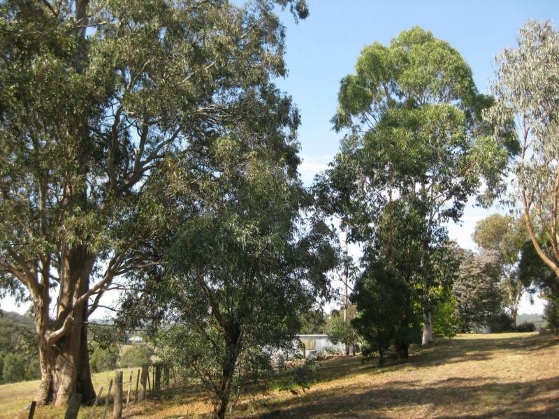 130 Boyds Road, Mount Taylor VIC 3875