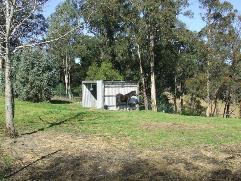 119-125 Great Alpine Road, Bruthen VIC 3885