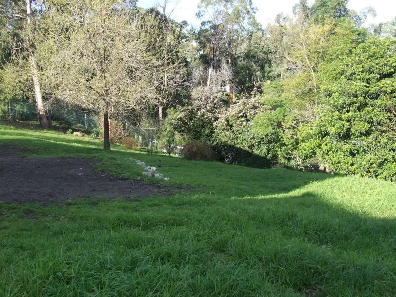 119-125 Great Alpine Road, Bruthen VIC 3885