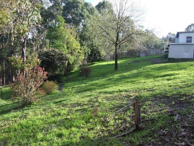 119-125 Great Alpine Road, Bruthen VIC 3885