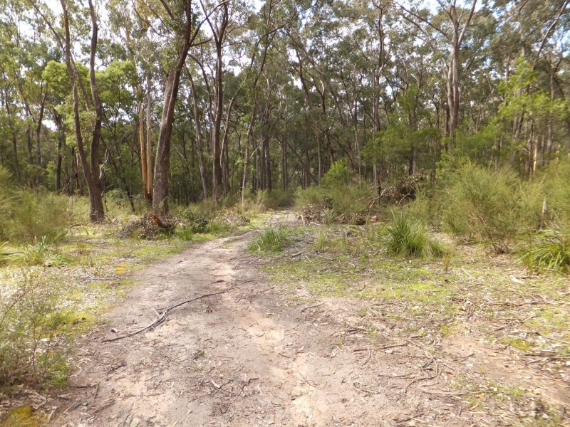 80 Stones Road, Swan Reach VIC 3903