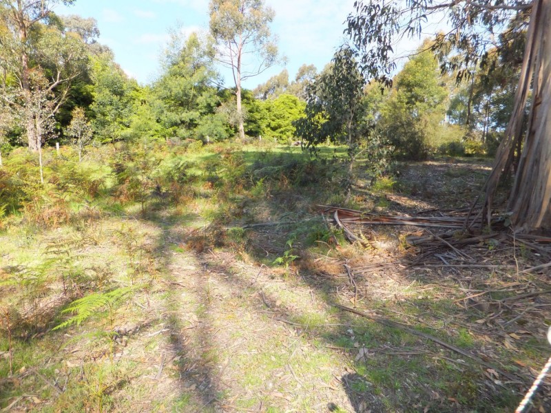 80 Stones Road, Swan Reach VIC 3903