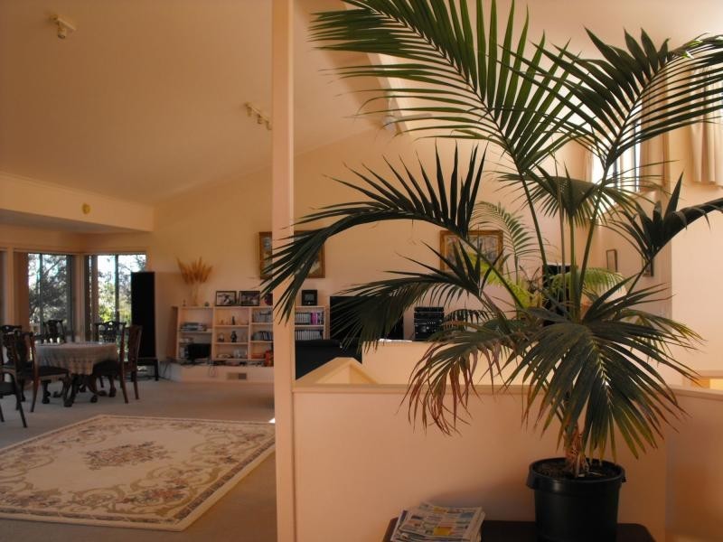 2 Tea Tree Lane, Lake Bunga VIC 3909