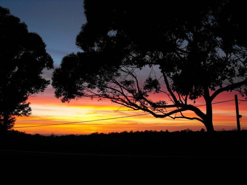 2 Tea Tree Lane, Lake Bunga VIC 3909