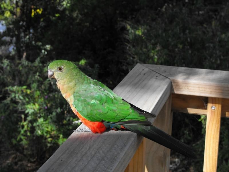 2 Tea Tree Lane, Lake Bunga VIC 3909