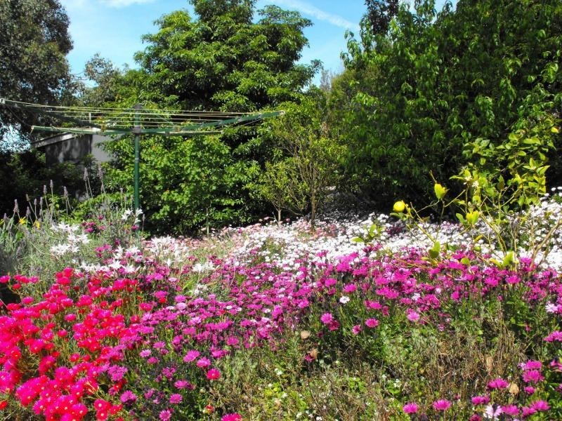 2 Tea Tree Lane, Lake Bunga VIC 3909