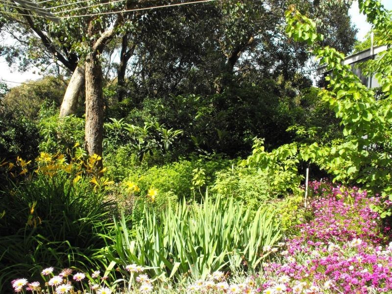 2 Tea Tree Lane, Lake Bunga VIC 3909