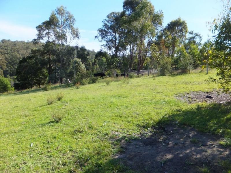 16 Delahunty Street, Bruthen VIC 3885