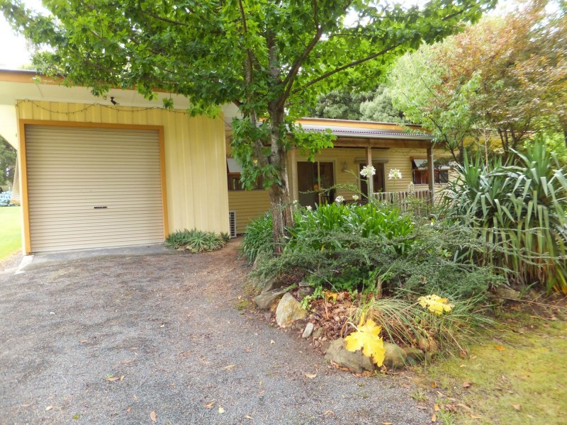 Manorina VIC 3889