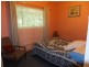 Manorina VIC 3889