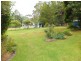 Manorina VIC 3889