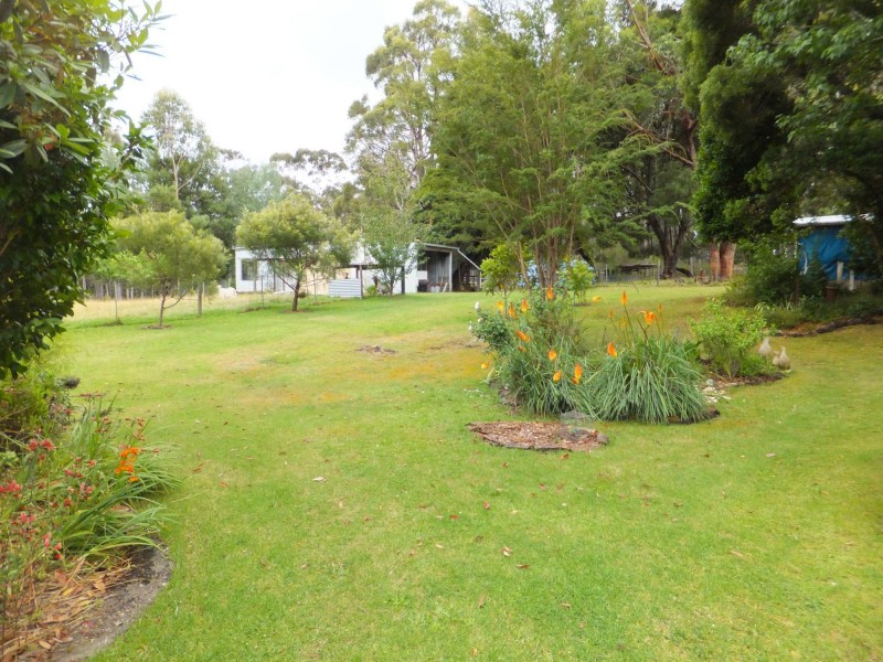 Manorina VIC 3889