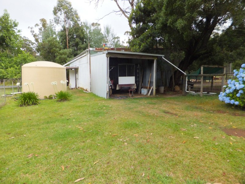 Manorina VIC 3889